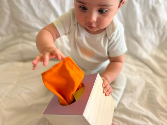 Tiny Hands, Big Milestones: A Parent's Guide to Baby's Grasping Skills